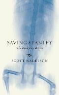 Saving Stanley The Brickman Stories