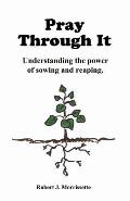 Pray Through It: Pray Through It Is about How Through Prayer One Can Allow God to Touch the Root Causes of Present Manifesting Issues i