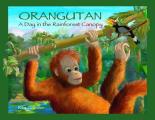 Orangutan: A Day in the Rainforest Canopy