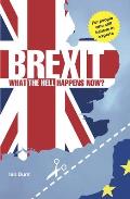 Brexit What The Hell Happens Now Everything You Need To Know About Britains Divorce From Europe