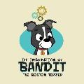 The Imagination of Bandit the Boston Terrier: Bandit vs. Vacuumonster