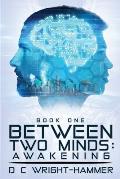 Between Two Minds: Awakening