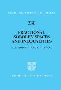 Fractional Sobolev Spaces and Inequalities