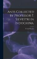 Ants Collected by Professor F. Silvestri in Indochina.
