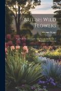 British Wild Flowers: Familiarly Described in the Four Seasons for the use of Beginners and Amateur