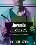 Juvenile Justice: A Guide to Theory, Policy, and Practice