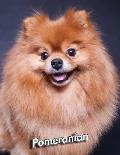 Pomeranian: 2020 Weekly Calendar 12 Months 107 pages 8.5 x 11 in. Planner Diary Organizer Agenda Appointment Half Spread Wide Rule