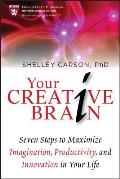 Your Creative Brain Seven Steps to Maximize Imagination Productivity & Innovation in Your Life