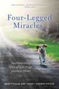 Four Legged Miracles Heartwarming Tales of Lost Dogs Journeys Home