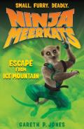 Ninja Meerkats 03 Escape from Ice Mountain