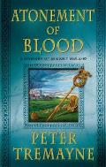 Atonement of Blood: A Mystery of Ancient Ireland