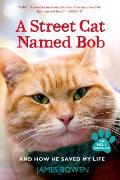 Street Cat Named Bob & How He Saved My Life