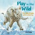 Play in the Wild: How Baby Animals Like to Have Fun