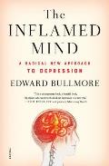 Inflamed Mind a Radical New Approach to Depression