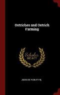 Ostriches and Ostrich Farming