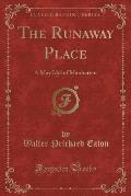The Runaway Place: A May Idyl of Manhattan (Classic Reprint)