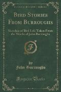 Bird Stories from Burroughs: Sketches of Bird Life Taken from the Works of John Burroughs (Classic Reprint)