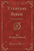 Everyday Birds: Elementary Studies (Classic Reprint)