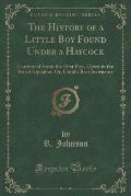 The History of a Little Boy Found Under a Haycock: Continued from the First Part, Given in the Royal Alphabet, Or, Child's Best Instructor (Classic Re