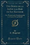 Des Bords de La Saone a la Baie de San Salvador: Ou, Promenade Sentimentale En France Et Au Bresil (Classic Reprint)
