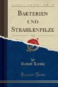 Bakterien Und Strahlenpilze, Vol. 6 (Classic Reprint)