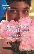 Bloom Where You're Planted: The Perfect Beach Read
