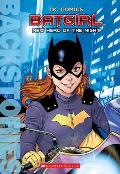 Batgirl New Hero of the Night Backstories