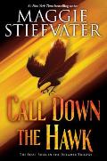 Dreamer Trilogy 01 Call Down the Hawk