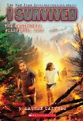 I Survived the California Wildfires, 2018 (I Survived #20): Volume 20