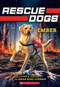 Ember Rescue Dogs 01
