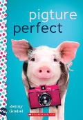 Pigture Perfect A Wish Novel