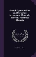 Growth Opportunities and Corporate Investment Theory in Efficient Financial Markets