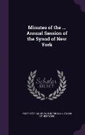 Minutes of the ... Annual Session of the Synod of New York
