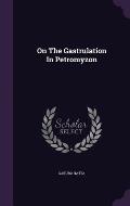 On the Gastrulation in Petromyzon