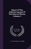 Report of the Adjutant General of the State of Illinois, Volume 3