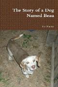 The Story of a Dog Named Beau