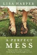 Perfect Mess Why You Dont Have to Worry about Being Good Enough for God