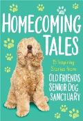 Homecoming Tales: 15 Inspiring Stories from Old Friends Senior Dog Sanctuary