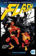 Flash Volume 2 Speed of Darkness