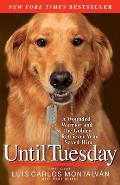Until Tuesday A Wounded Warrior & the Golden Retriever Who Saved Him