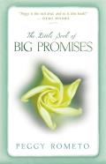 Little Book of Big Promises
