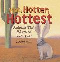 Hot Hotter Hottest Animals That Adapt to Great Heat