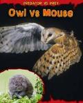 Owl Vs Mouse