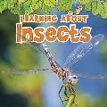 Learning about Insects