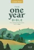 One Year Premium Slimline Bible NLT Large Print 10th Anniversary