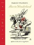 Classic Coloring Alice in Wonderland Coloring Book 55 Removable Coloring Plates