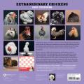 Cal20 Extraordinary Chickens Wall Calendar