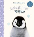 Goodnight, Little Penguin: A Board Book
