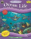 Exploring Ocean Life Grades 5 6