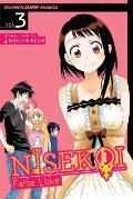 Nisekoi False Love Volume 3 Whats in a Name